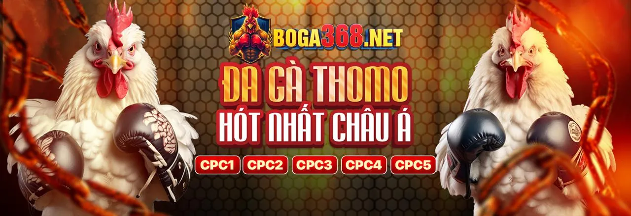 Đá Gà Trực Tuyến t4wbet - Sân Chơi Hấp Dẫn