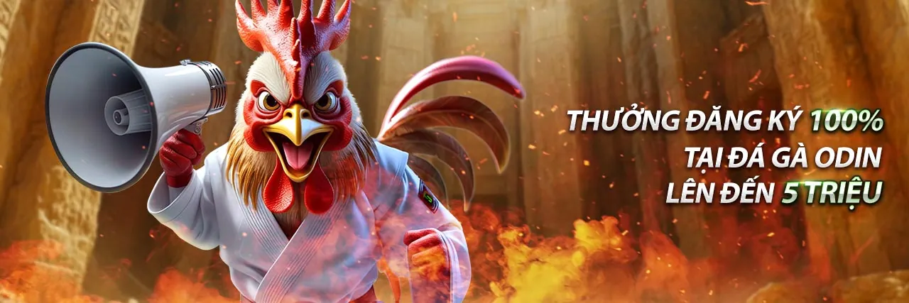 Sân vận động tràn ngập ánh sáng với trận đấu bóng đá đang diễn ra, biểu tượng cho cá cược thể thao t4wbet